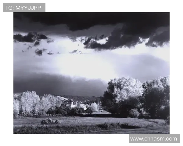 亚当斯的传奇人生与影响力探索:从历史人物到现代文化象征的演变之路 亚当斯的传奇人生与影响力探索:从历史人物到现代文化象征的演变之路