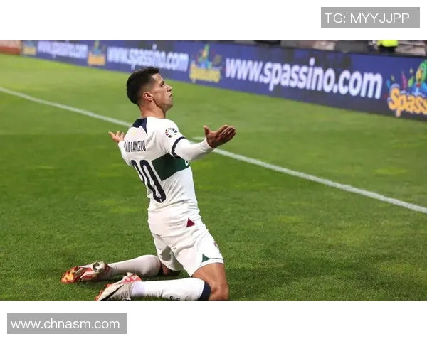 坎塞洛的足球之路：从天才少年到世界级后卫的成长历程与成就