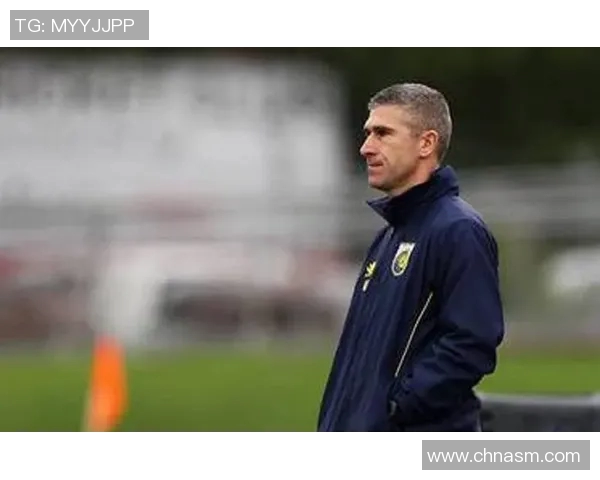 天狼星与延雪平激战正酣比分揭晓引发球迷热议