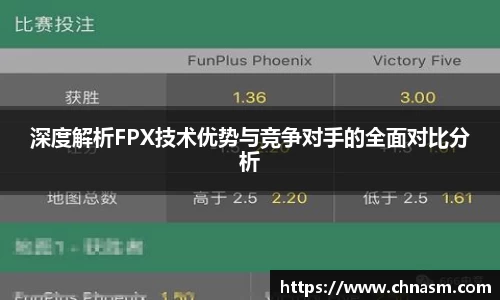 深度解析FPX技术优势与竞争对手的全面对比分析