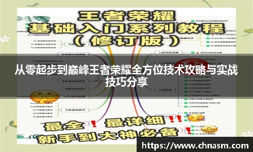 从零起步到巅峰王者荣耀全方位技术攻略与实战技巧分享