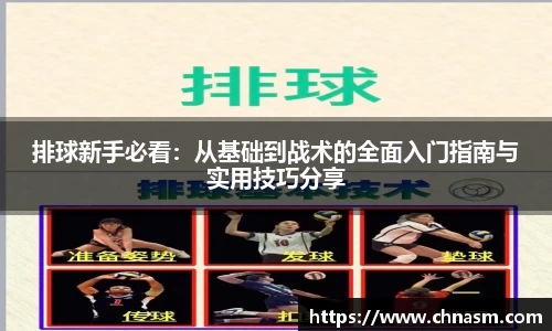 排球新手必看：从基础到战术的全面入门指南与实用技巧分享