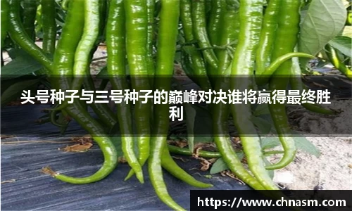 头号种子与三号种子的巅峰对决谁将赢得最终胜利