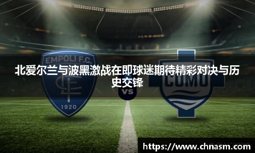北爱尔兰与波黑激战在即球迷期待精彩对决与历史交锋