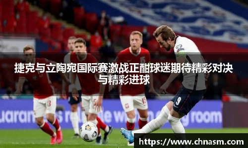 捷克与立陶宛国际赛激战正酣球迷期待精彩对决与精彩进球